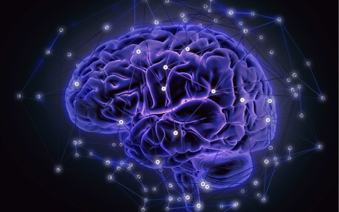 L’UMONS devient membre de la nouvelle plateforme de recherche numérique EBRAINS