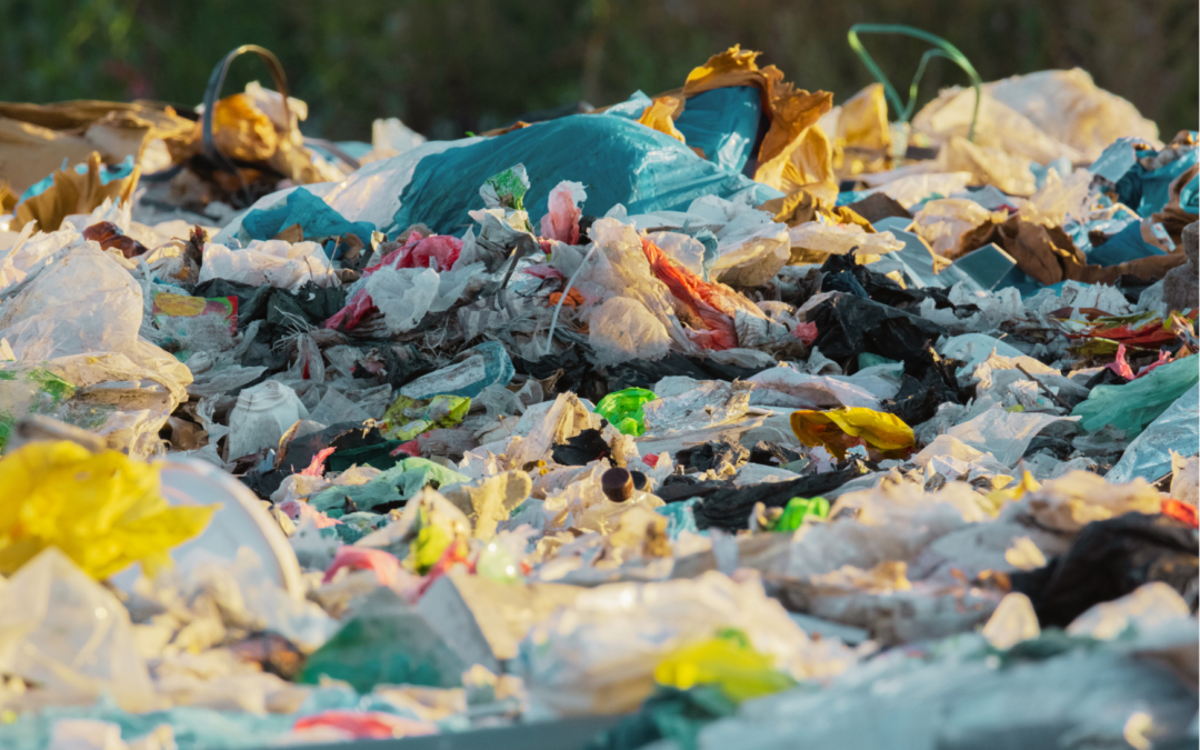 Un chercheur de l’UMONS obtient un financement de près de 700.000 € pour un projet sur la gestion plus durable des déchets plastiques
